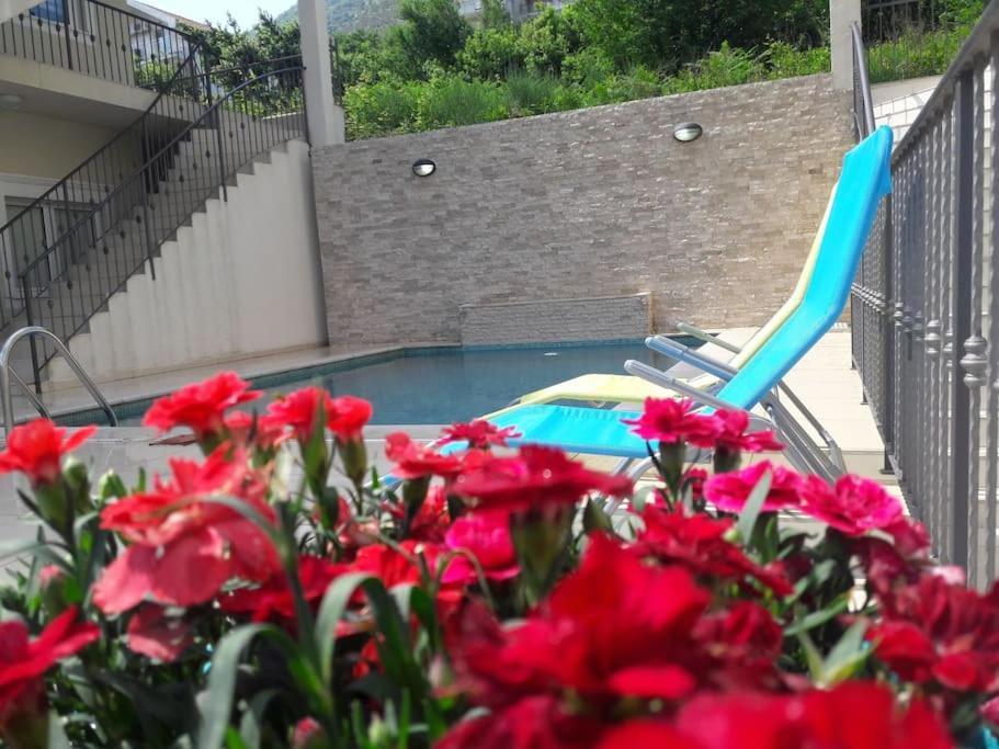 2Br Apartment With Pool Kotor Zewnętrze zdjęcie